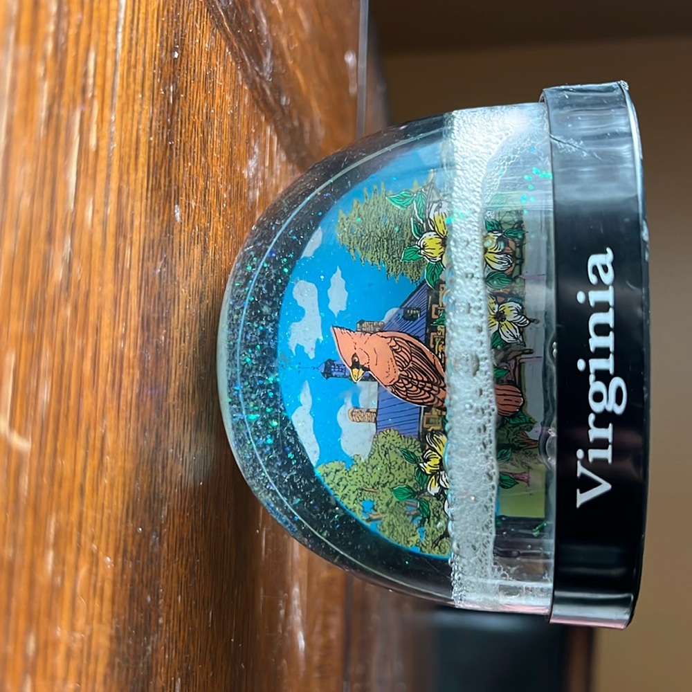Virginia snow globe litter shake for your desk decoration